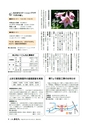koho-anan_2011.10